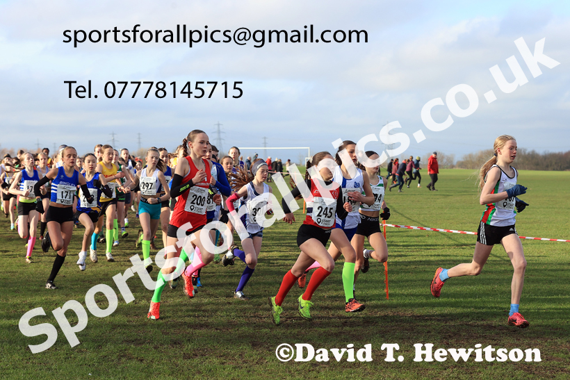 Girls Under-13s 2026 Northern Cross Country Champs., Pontefract Racecourse, Pontefract. Photo: David T. Hewitson/Sports for All Pics